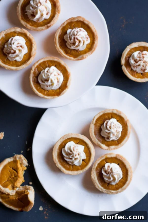 Two white plates, artfully arranged and brimming with an assortment of freshly baked Mini Pumpkin Pies, ready to be served.