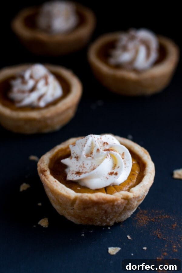 A delightful arrangement of Mini Pumpkin Pies, beautifully garnished with generous swirls of whipped cream, presented on a dark, elegant surface.