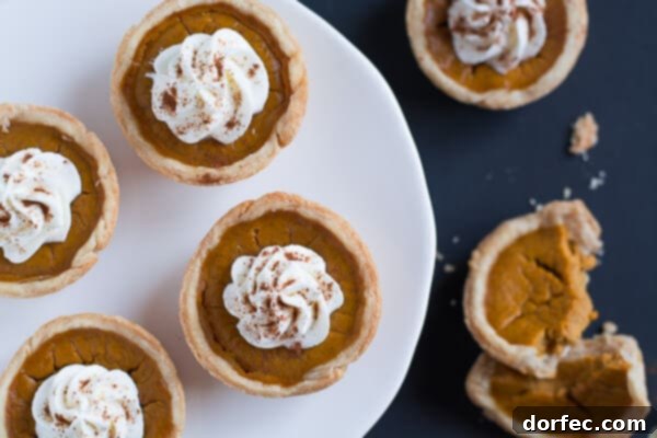 A beautifully arranged white plate showcasing an assortment of perfectly baked Mini Pumpkin Pies, ready for serving.