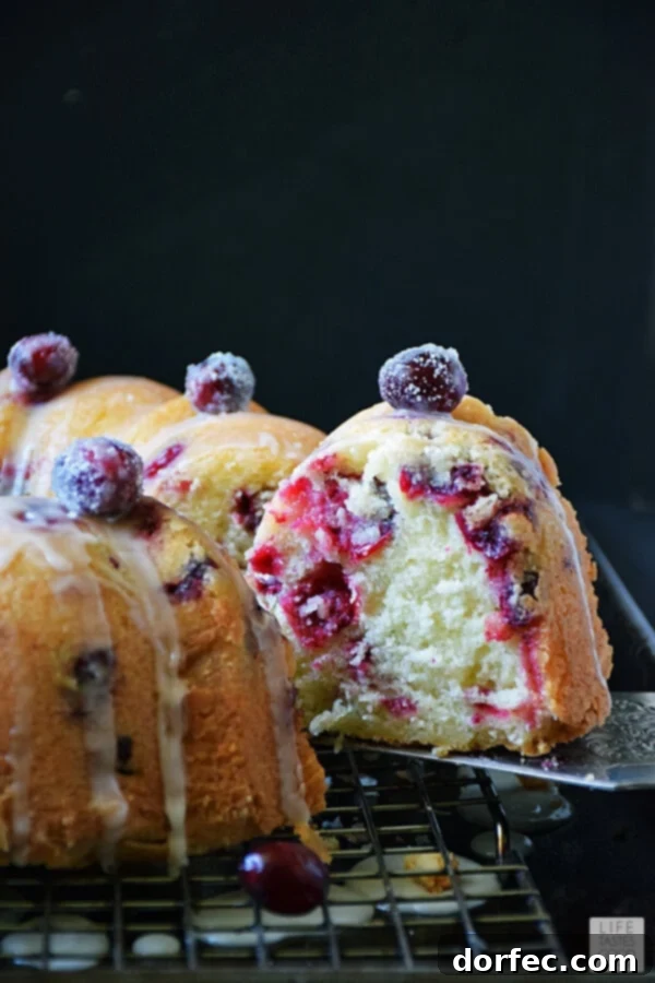 Beautifully decorated Cranberry Bundt Cake with fresh berries and orange slices, perfect for holiday gatherings.