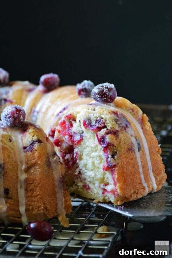 A festive slice of Cranberry Bundt Cake, revealing the moist interior and cranberry studded crumb, ready to be enjoyed.