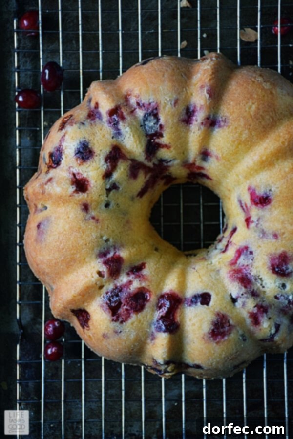 Close-up of a festive Cranberry Bundt Cake, showcasing its beautiful texture and orange glaze.