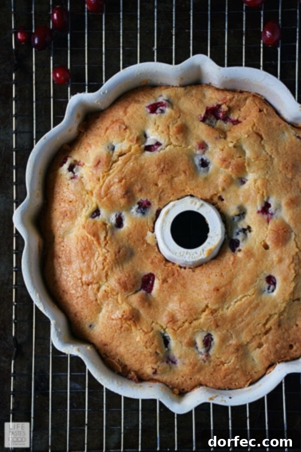 Baked Cranberry Bundt Cake cooling in the pan after being removed from the oven.