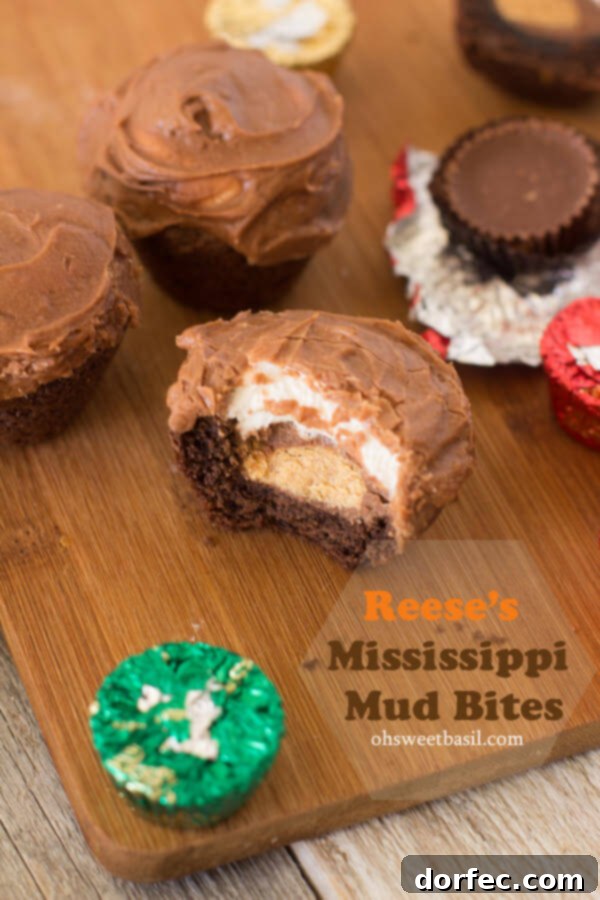 Sweet Reese's Mississippi Mud Bites, perfect for kids and parties.