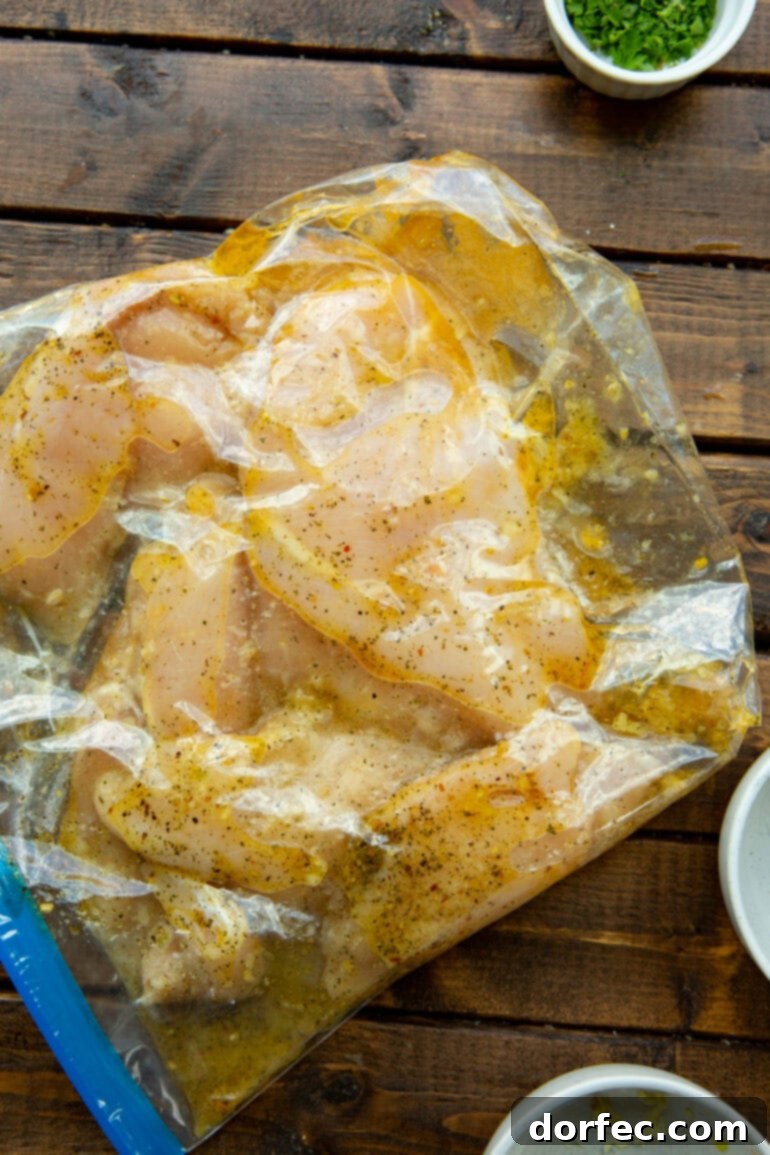 Uncooked chicken breasts coated in marinade, sealed in a large plastic bag, ready for refrigeration.