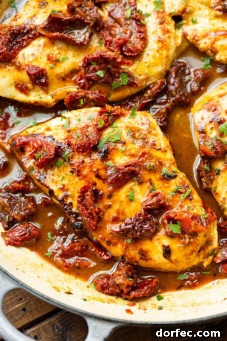 A close-up of a golden cooked chicken breast, beautifully topped with vibrant sun-dried tomatoes and a hint of sauce.