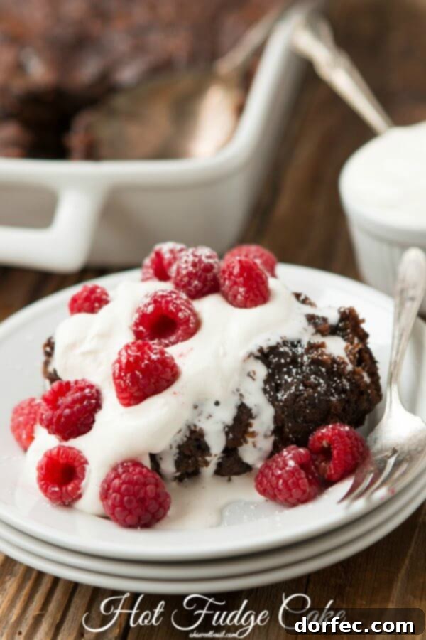 Rich Hot Fudge Cake ohsweetbasil.com
