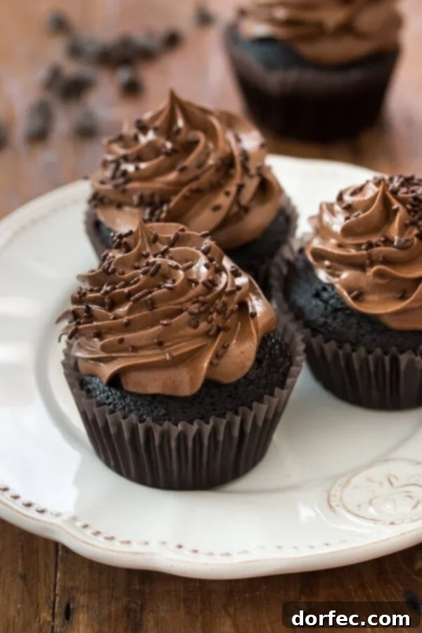 Double Chocolate Cupcakes