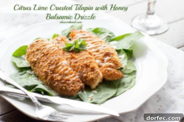 Serve your macadamia crusted mahi mahi with delicious sides like this Citrus Lime Crusted Tilapia. #healthy #recipe #seafood ohsweetbasil.com-31