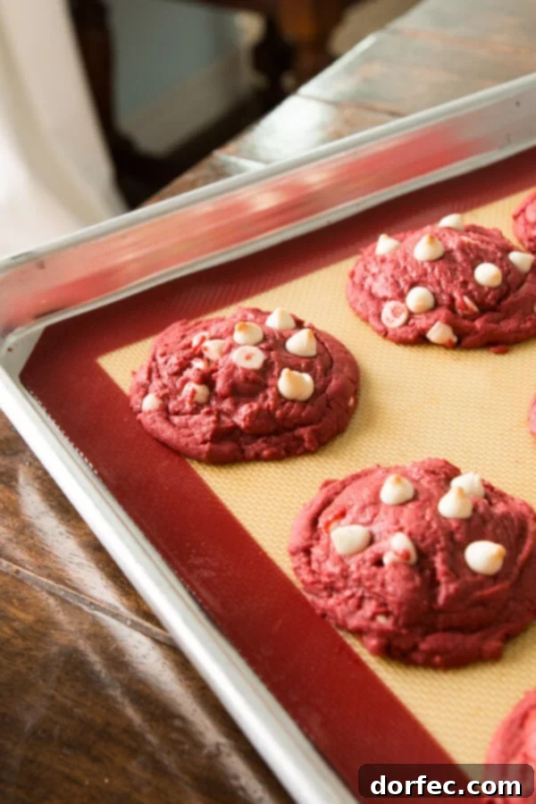 Perfectly Baked Red Velvet Cookies Close-up of freshly baked Red Velvet White Chocolate Chip Cookies