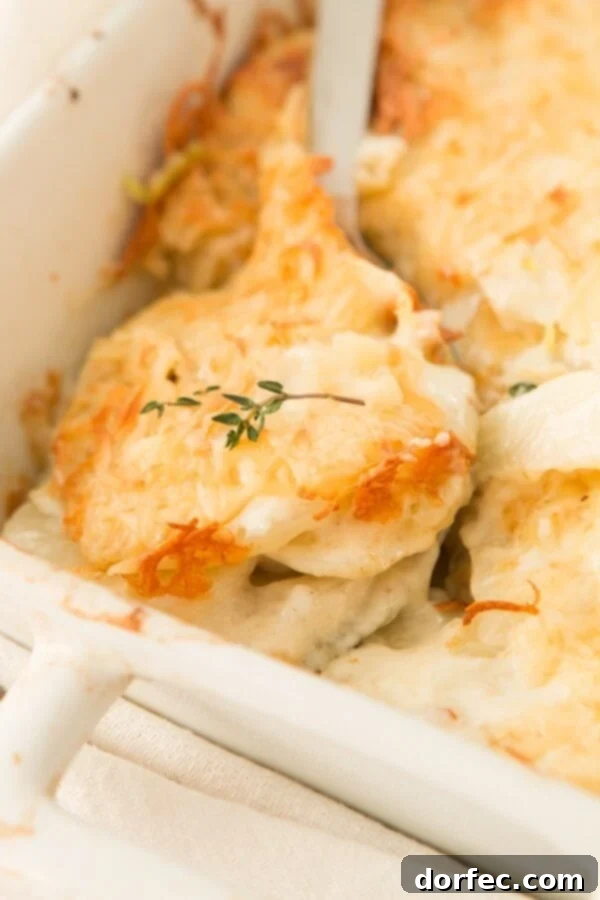 Deliciously creamy layers of Smoked Gruyere Scalloped Potatoes with tender leeks.