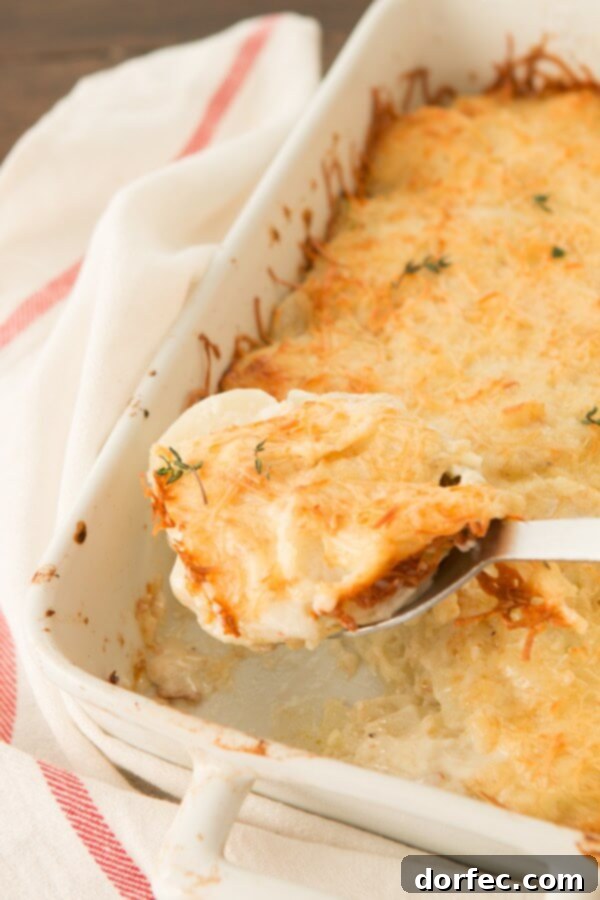 Layers of thinly sliced potatoes and creamy Gruyere cheese sauce ready for baking.