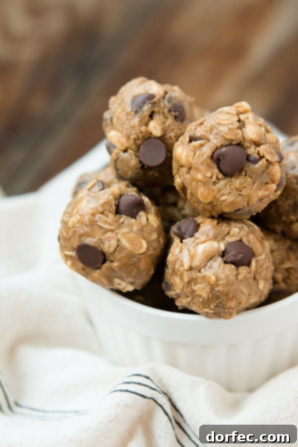 2015's Top Recipes 5 The best Protein No-Bake Energy Bites recipe! Delicious chocolate chip nuggets that are healthy and energy-boosting from Oh Sweet Basil.