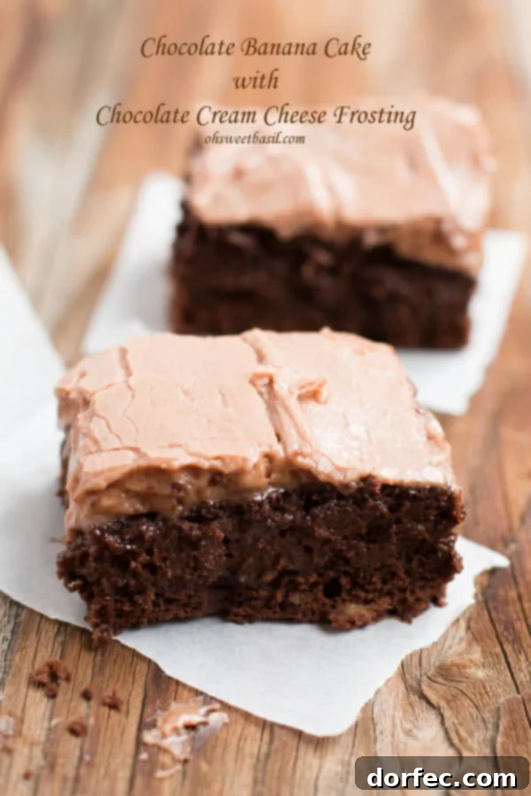Chocolate banana cake with chocolate cream cheese frosting. Love this stuff! ohsweetbasil.com