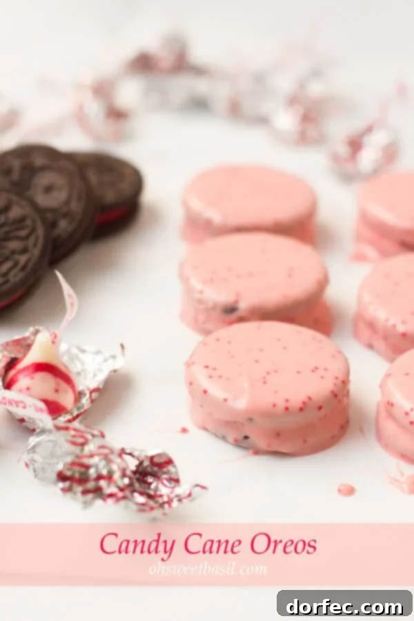 Easy Candy Cane Oreos dipped in white chocolate and crushed candy canes, perfect for Christmas.