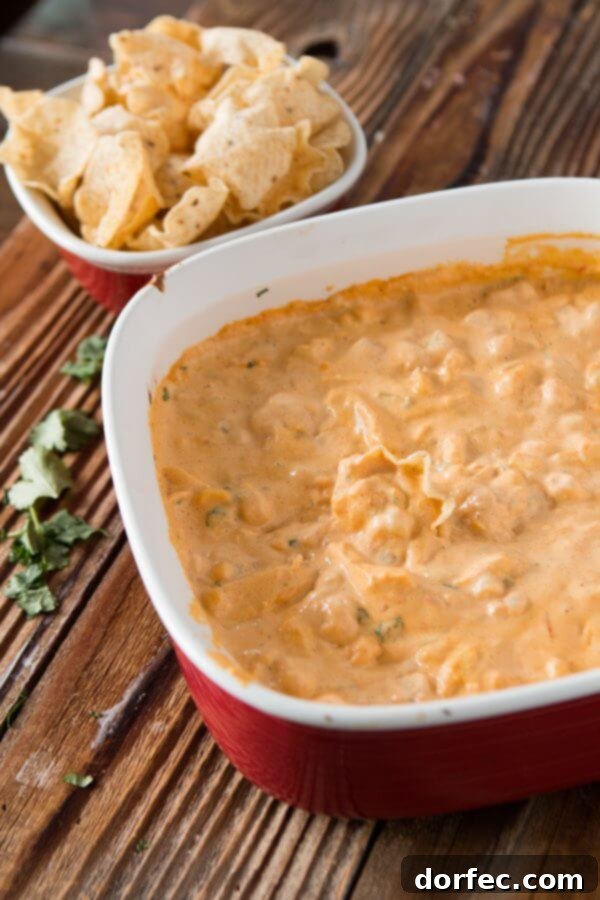 Cheesy Chicken Tortilla Queso Dip is pretty much begged for on every game day ohsweetbasil.com