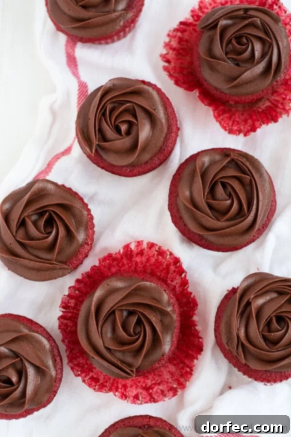 Homemade Red Velvet Cupcakes with Chocolate Frosting Close-up of a single Chocolate Rose Red Velvet Cupcake with rich chocolate cream cheese frosting.