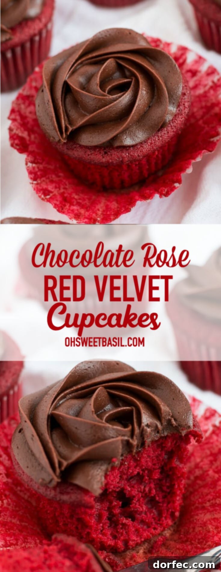 Rose-Kissed Velvet Chocolate Treats 3 A stunning display of Chocolate Rose Red Velvet Cupcakes, perfect for a romantic gesture or special celebration.