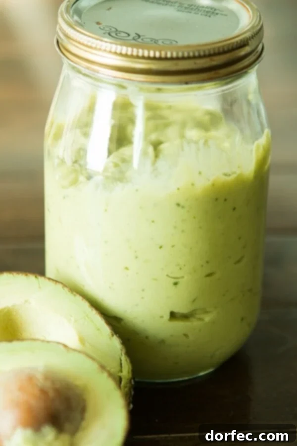 Quick and easy homemade avocado enchilada sauce recipe