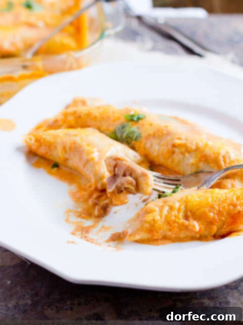 Bean and Cheese Smothered Enchiladas