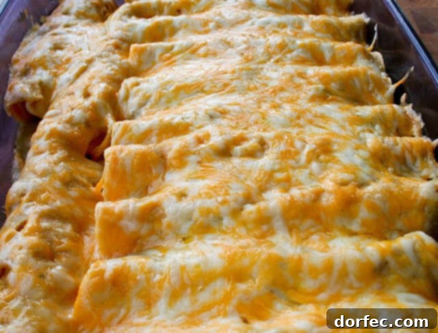 Honey Lime Chicken Enchiladas