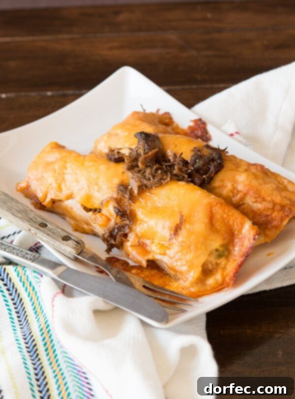 Shredded Beef Enchiladas Recipe