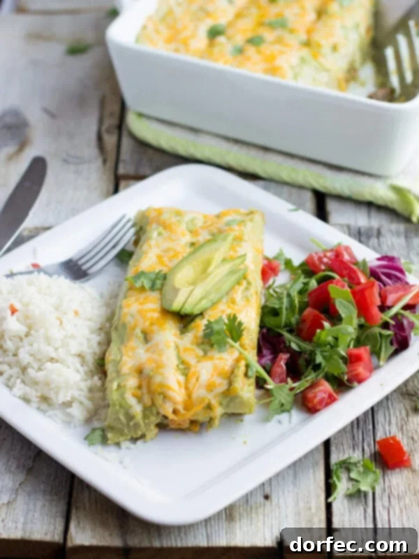 Carne Asada Enchiladas with Avocado Crema Sauce
