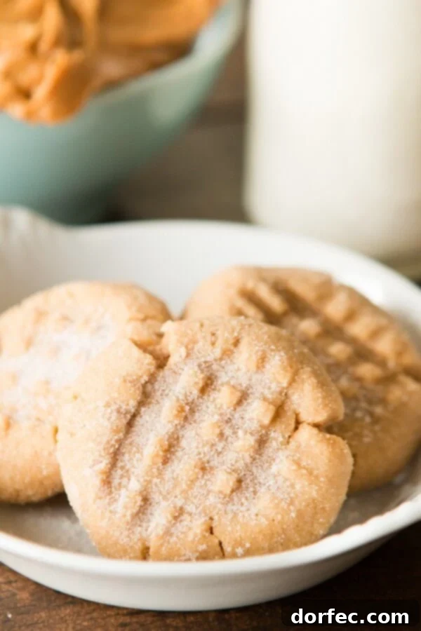 A beautifully composed image of classic peanut butter cookies, highlighting their simple elegance and delicious appeal. A perfect recipe from ohsweetbasil.com