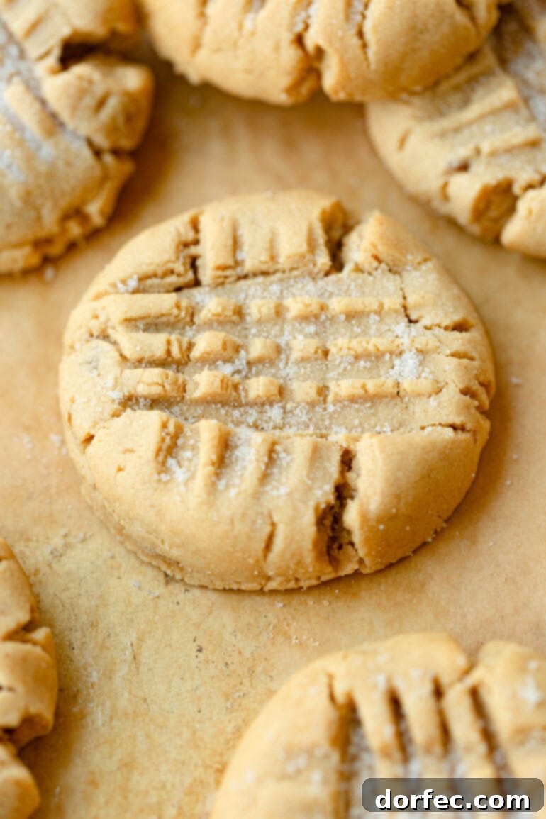 A delectable close-up photo of a single, perfectly baked classic peanut butter cookie, displaying its rich golden-brown hue and the iconic crisscross fork pattern on its inviting surface. The cookie looks soft and tender.