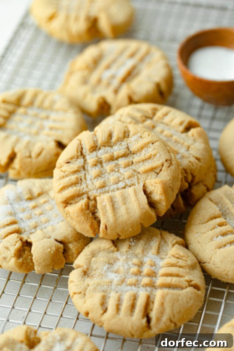 A beautiful photo showcasing several classic peanut butter cookies cooling on a wire rack, with their golden-brown edges and soft centers visible. They are ready to be enjoyed.