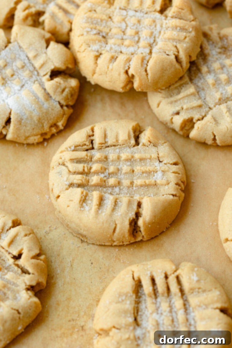 A close-up photo of several delicious classic peanut butter cookies resting on a piece of brown parchment paper, highlighting their perfect texture and inviting appearance.
