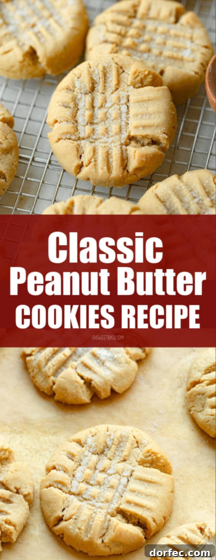 A stunning spread of multiple classic peanut butter cookies, perfectly arranged on a baking sheet, ready to be served. They are golden-brown and look incredibly appetizing.