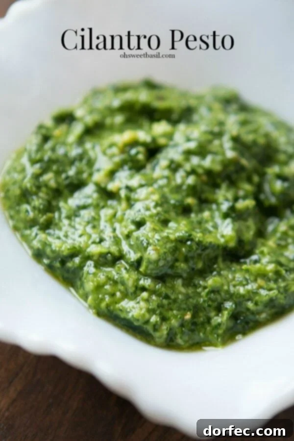 Homemade Cilantro Pesto in 5 Minutes Fresh Cilantro Pesto - A Flavorful Twist on a Classic