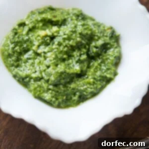 Cilantro Pesto in 5 minutes ohsweetbasil.com