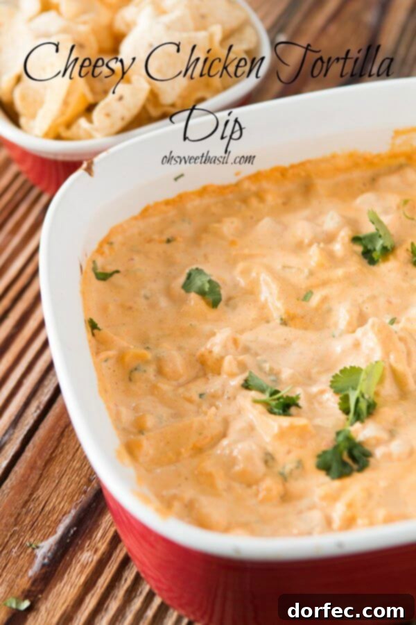Cheesy Chicken Tortilla Dip, a warm and savory game day appetizer