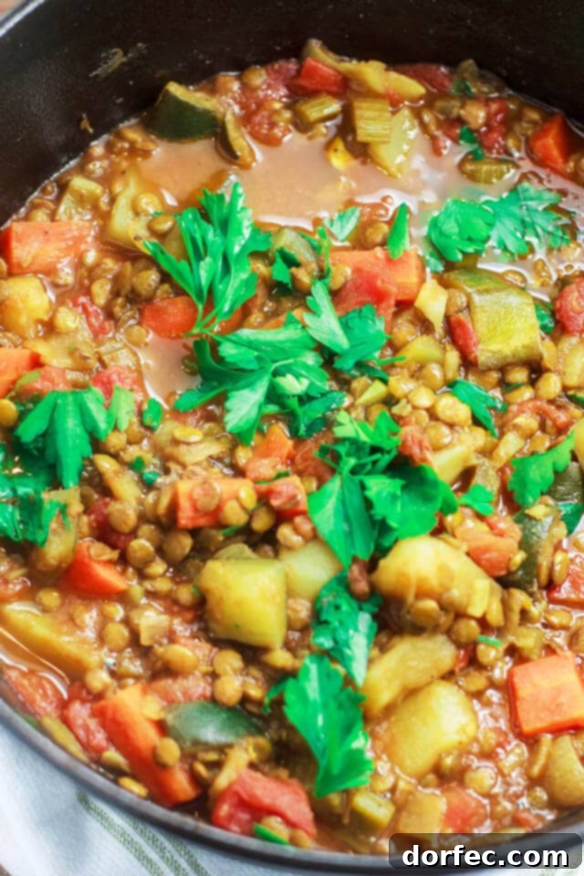 A hearty and vibrant vegetable and lentil stew, garnished with fresh parsley, served in a rustic pot.