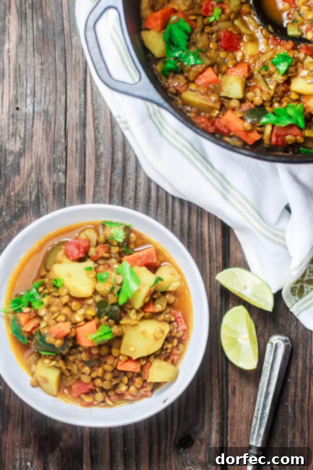 Close-up of a bowl of green lentils and mixed vegetables, showcasing the rich texture and vibrant ingredients.