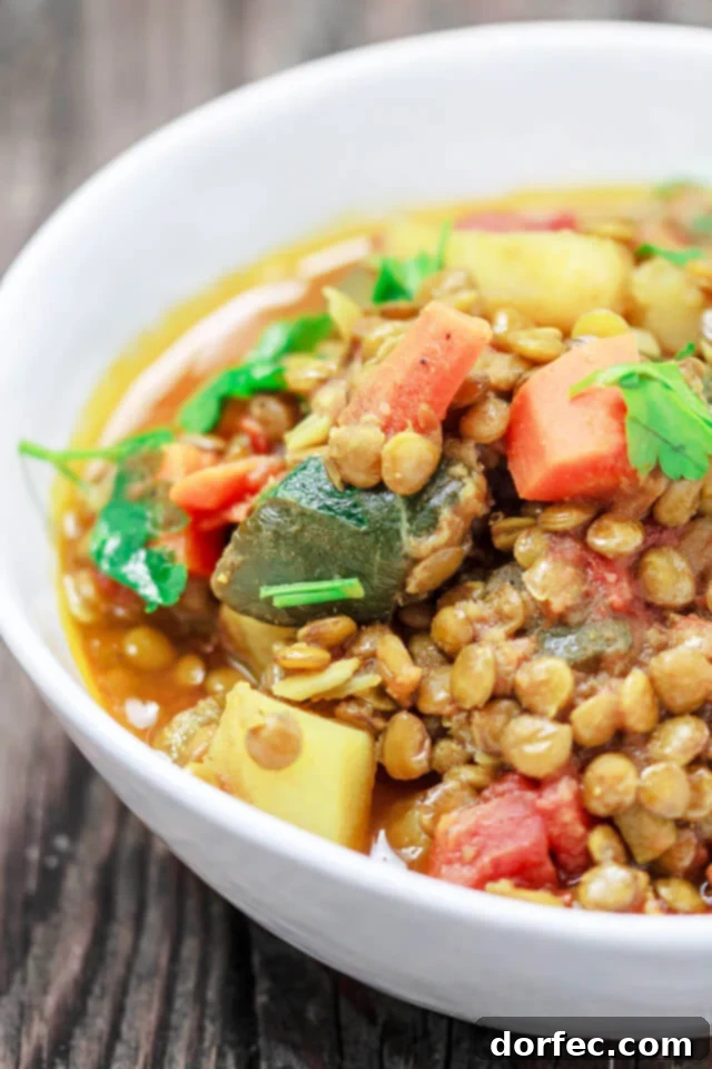 A serving of hearty vegetable and lentil stew in a white bowl, ready to be enjoyed.