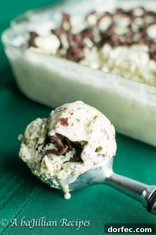 Scoop of Mint Chocolate Stracciatella Ice Cream showcasing its creamy texture and fine chocolate flakes.
