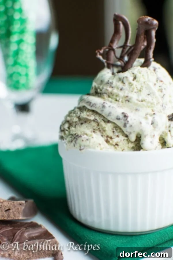 Hand holding a bowl of Mint Chocolate Stracciatella Ice Cream, ready to be enjoyed.