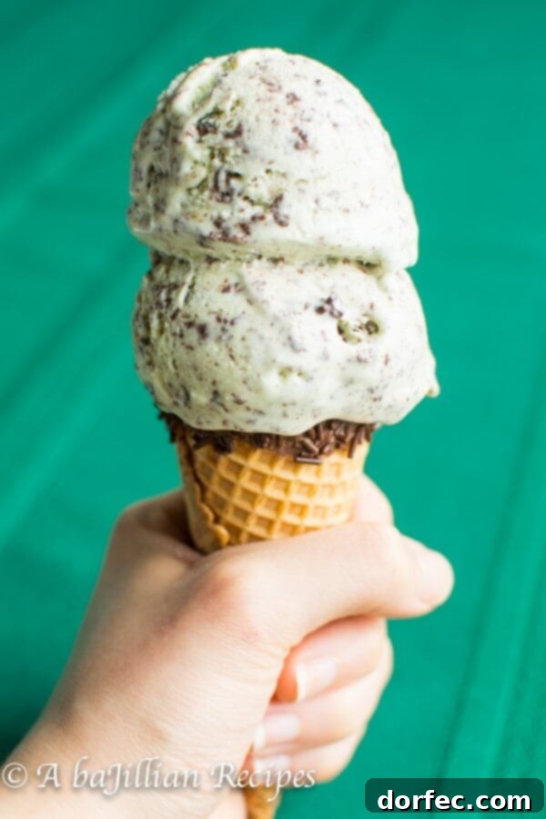 Scoops of Mint Chocolate Stracciatella Ice Cream in a bowl, showcasing its delicate texture.