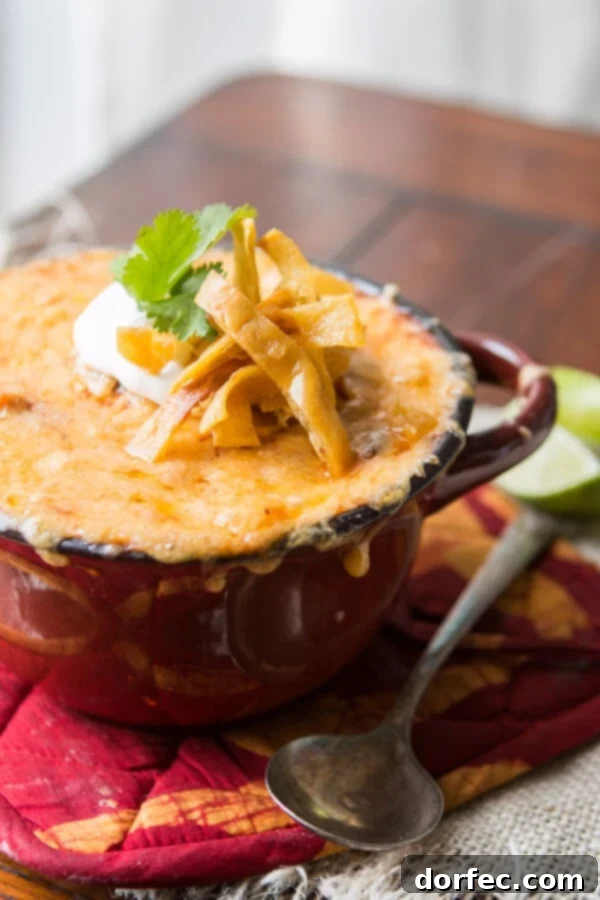 Honey Lime Chicken Enchiladas Soup Delicious Honey Lime Chicken Enchiladas Soup garnished with fresh cilantro and cheese, served in a vibrant bowl
