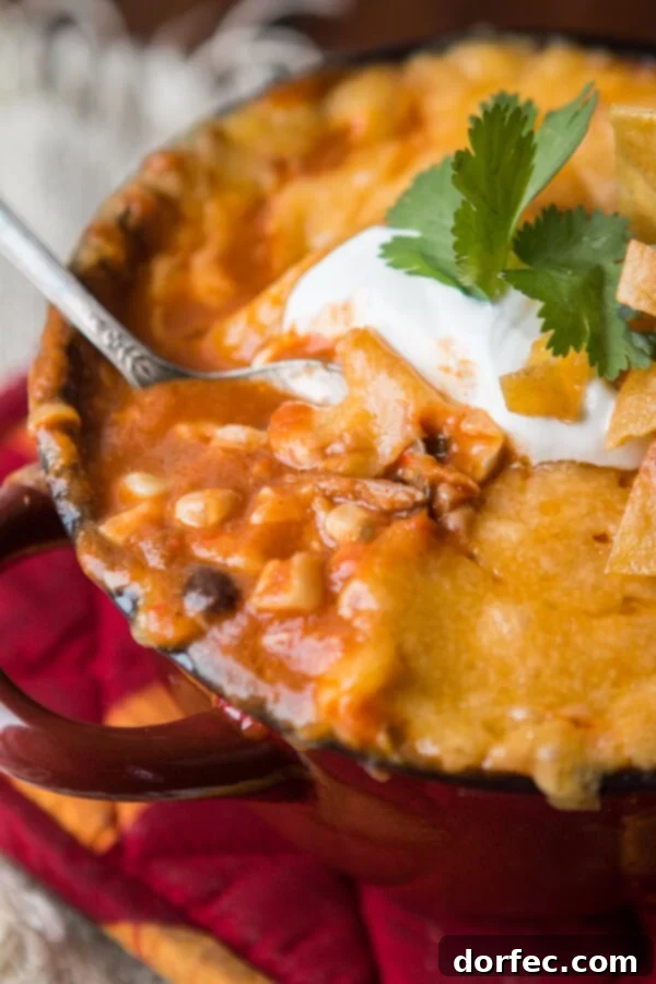 Honey Lime Chicken Enchiladas Soup with avocado Honey Lime Chicken Enchiladas Soup served with a side of fresh avocado and delicious toppings like sour cream and tortilla strips