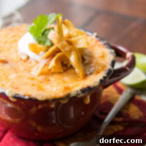 Honey Lime Chicken Enchiladas Soup