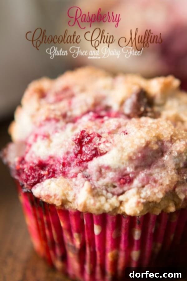 Delicious Gluten-Free Dairy-Free Raspberry Chocolate Chip Muffins