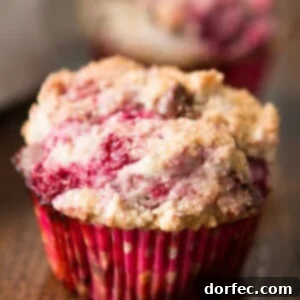 Gluten Free Dairy Free Raspberry Chocolate Chip Muffins