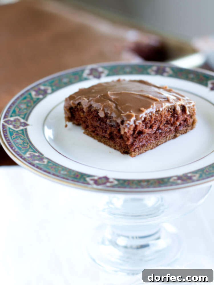 A rich, dark chocolate sheet cake with a decadent frosting, perfect for a crowd.