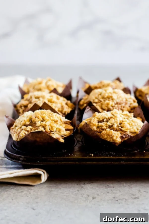 Irresistibly Soft and Fluffy Carrot Cake Muffins with Crumb Topping These carrot cake muffins with crumb topping are irresistibly soft and fluffy, you won't want another carrot cake muffin recipe after you've tried these!