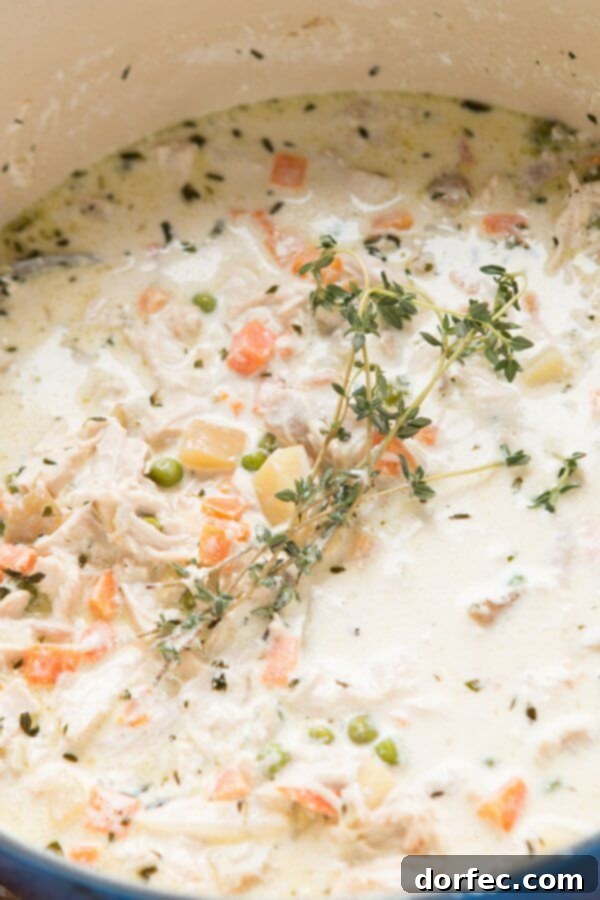 Take your favorite comfort food and turn it into the best cold weather soup ever, chicken pot pie soup! We even made some fluffy little biscuits to throw on top like you would crackers. 