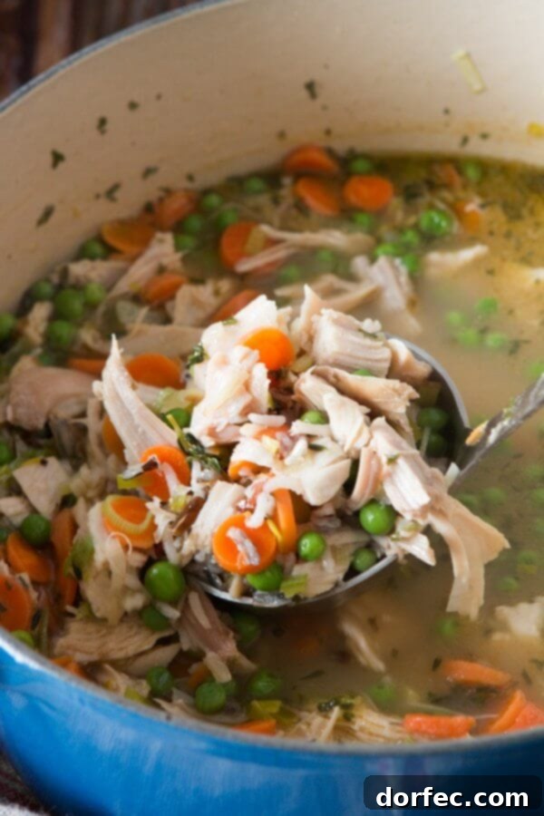 Chicken, wild rice, leeks and enough veggies to fill your belly! Chicken wild rice leek soup for all year round! ohsweetbasil.com